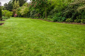 Fototapeta na wymiar Green lawn in a garden