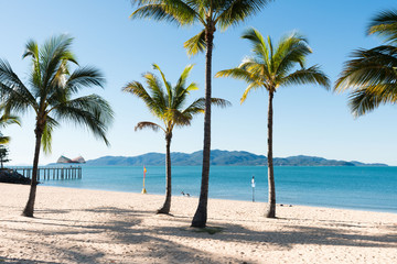 Tropical beach The Strand, Townsville, Australia with coconut palms, jetty and Magnetic Island in background