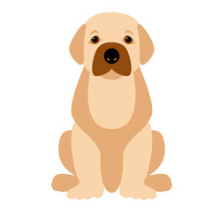 puppy vector illustration isolated flat style front side