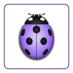 Ladybug small icon. Lilac lady bug sign, isolated on white background. 3d volume design. Cute colorful ladybird. Insect cartoon beetle. Symbol of nature, spring or summer. Vector illustration