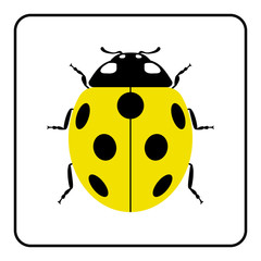 Ladybug small icon. Yellow lady bug sign, isolated on white background. Wildlife animal design. Cute colorful ladybird. Insect cartoon beetle. Symbol of nature, spring, summer. Vector illustration