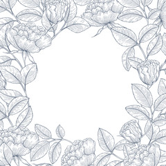 Obraz premium Decorative english garden rose