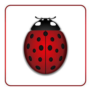 Ladybug small icon. Red lady bug sign, isolated on white background. 3d volume design. Cute colorful ladybird. Insect cartoon beetle. Symbol of nature, spring or summer. Vector illustration