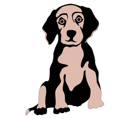 Puppy vector illustration isolated flat style front side