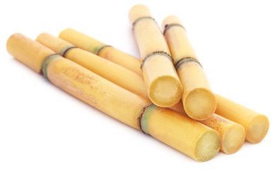 Pieces of sugarcane