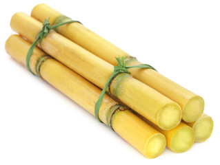 Pieces of sugarcane