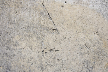 vintage wall background,old wall