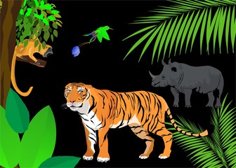 Tiger. rhino an monkey in jungle. Vector illustration scene on black background