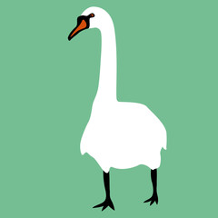 swan vector illustration style Flat