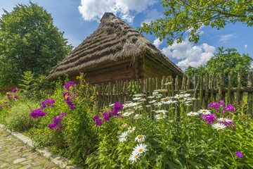 Traditional village house with blue sky, green grass, fence and trees. Ukraine.