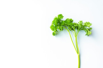 A very fresh parsley on white background, for healthy food collection, organic vegetables