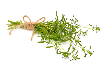 Summer savory isolated