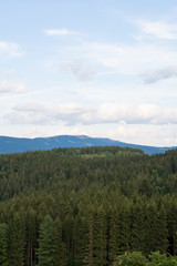 Blick über den Bayerischen Wald