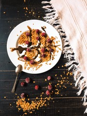 Гранола из овсяных хлопьев политая шоколадом на завтрак