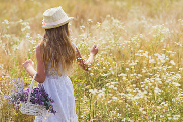 Cute child resting on daisy meadow