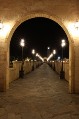 Scenery of the river bridge into the village at night.