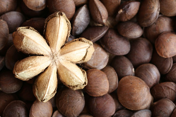 Legumes of Sacha inchi or Inca peanut.