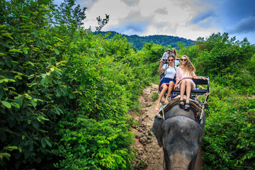 Fototapeta premium group of tourists in thailand riding elephants through jungle