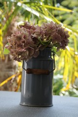 Alte Milchkanne mit Blumen