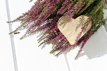 Heather flowers on white background with copy space