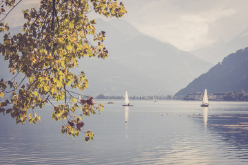 Segelboote am Zeller See, umsäumt von Bäumen