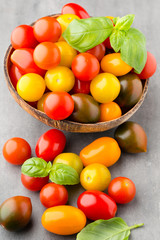 Tomatoes on the gray background. Colorful tomatoes, red tomatoes
