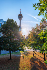 Düsseldorf Fernsehturm zwischen Bäumen