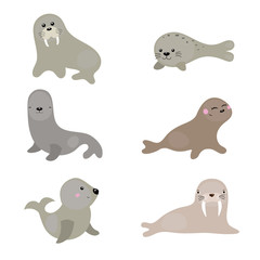 Set funny walruses and sea lions