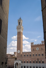 Fototapeta na wymiar Siena, Torre del Mangia. Color image