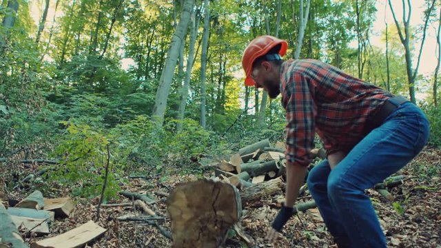Forester carrying a large section of tree trunk