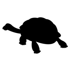 Turtle realistic vector illustration  black silhouette