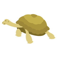 Turtle realistic vector illustration Flat Style