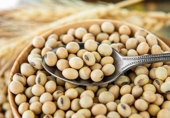 Soy beans in wood bowl