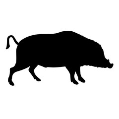 wild boar a black silhouette vector illustration
