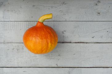 Pumpkin on a gray background