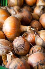 Onions in a basket on a wooden background
