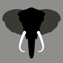 elephant head face vector illustration style Flat