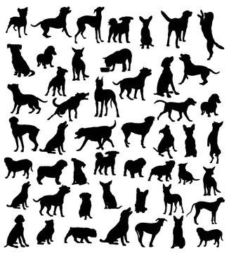 Dog Action and activity Silhouettes, art vector design