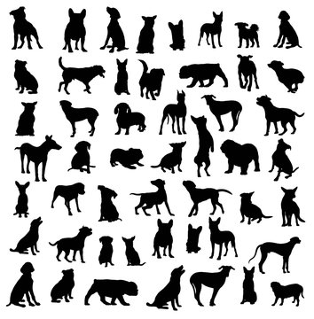Dog Pet Animal Silhouette, art vector design