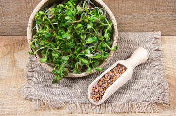 Fresh radish sprouts on a wooden background.