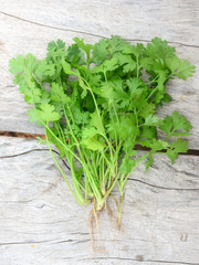Coriander on old wood.