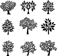 Tree's collection