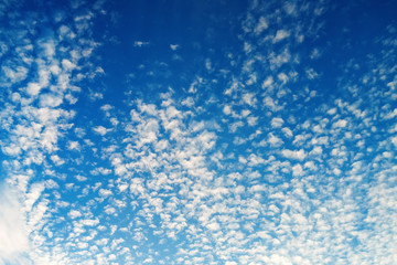 Fototapeta na wymiar Tiny fluffy clouds in the blue sky. Sky with clouds background.