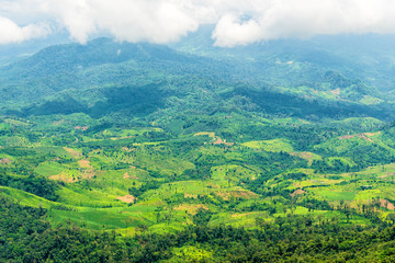 Aerial view of agricultural area in mountain valley landscape in rain forest hill.