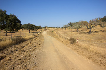 caminho