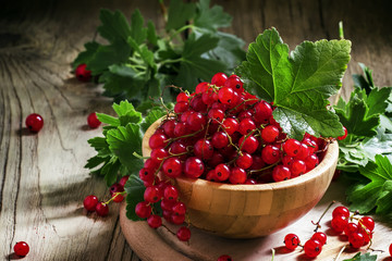Bunches of red currant with leaves, selective focus