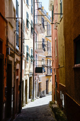 Fototapeta na wymiar Colorful houses in Manarola's alley, Italy