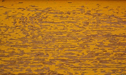 Colorful wooden texture