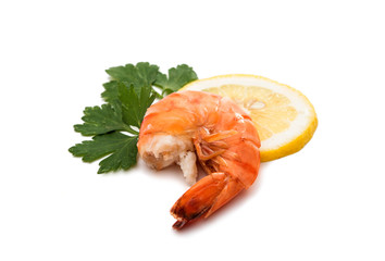 Tiger shrimp. Prawn isolated