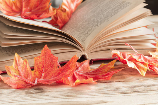 an open book lies on the table with autumn maple leaves closeup. study education knowledge literature